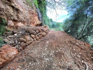 Abierta de nuevo al público la Ruta Botánica de Vila-real