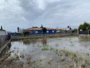 La plaga de mosquitos ya está en la Marjalería