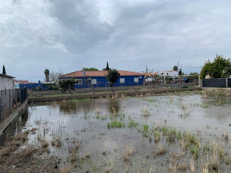 VOX insiste en la necesidad de controlar el nivel de las aguas en Marjalería