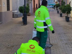 El Ayuntamiento de Moncofa realiza trabajos de prevención para evitar la proliferación de mosquitos tras el temporal