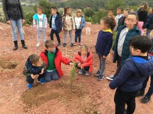 Los escolares de Almenara celebran el Día del Árbol plantando 500 pinos