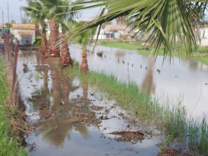 Som Castelló pide al Ayuntamiento que desagüe la Marjaleria ante las inundaciones de viviendas