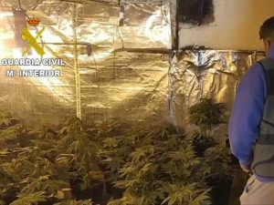 3 detenidos en Picassent-Valencia por cultivo de Marihuana y trato afín a la esclavitud