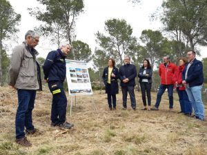 Treballs de mitigació al Corral del Petequillo de Benicarló per a reduir el risc d’incendis