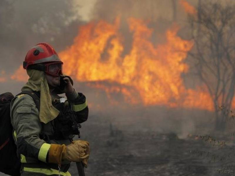 4 investigados por incendios forestales en Castellón y Palencia