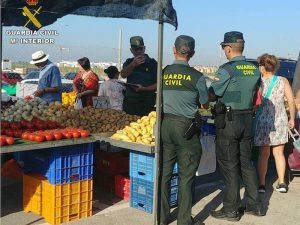 32 Detenidos y 49 investigados por robar 518 toneladas de fruta y verdura en campos valencianos
