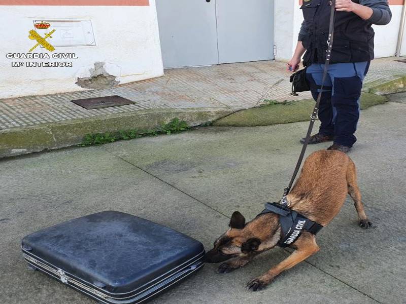 Detenido al intentar introducir droga en la cárcel de Castellón