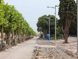 Más zona verde en la remodelada Avenida Lidón de Castellón