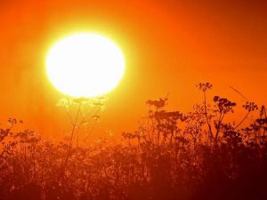 Sanidad eleva hoy y mañana la alerta sanitaria por ola de calor alto y extremo