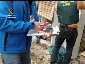 Localizados 40 palomos de competición robados en la Comunitat, gracias al reclamo de una paloma