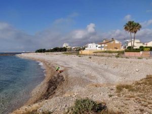 Nueva playa para perros en «La Boca del Riu» de Vinaròs