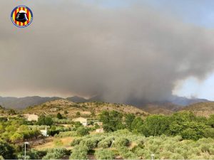 Hoy se podría dar por estabilizado el incendio forestal de Calles-Valencia