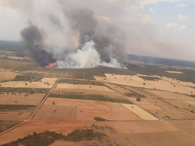 Fallece un brigadista en la extinción del incendio de Losacio (Zamora)