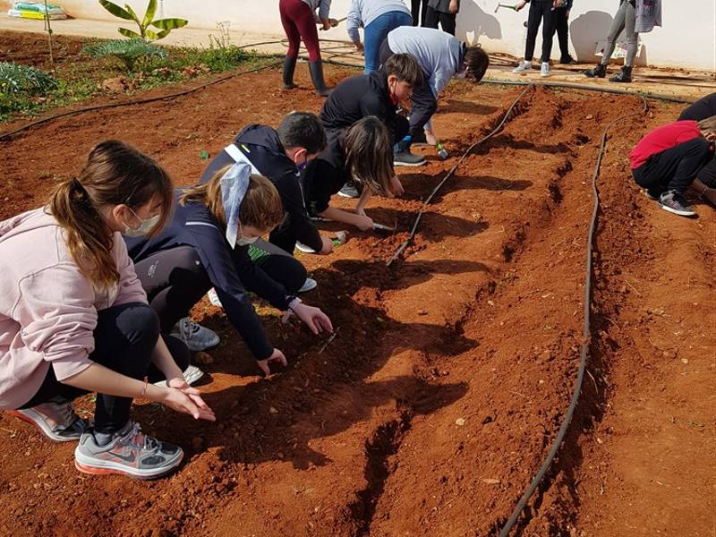 Casi 1.900 estudiantes se forman en agricultura ecológica en Almassora con «Eduhort»