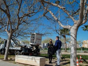 13 proyectos urbanos para frenar el estrés térmico y promover la eficacia energética en Castellón