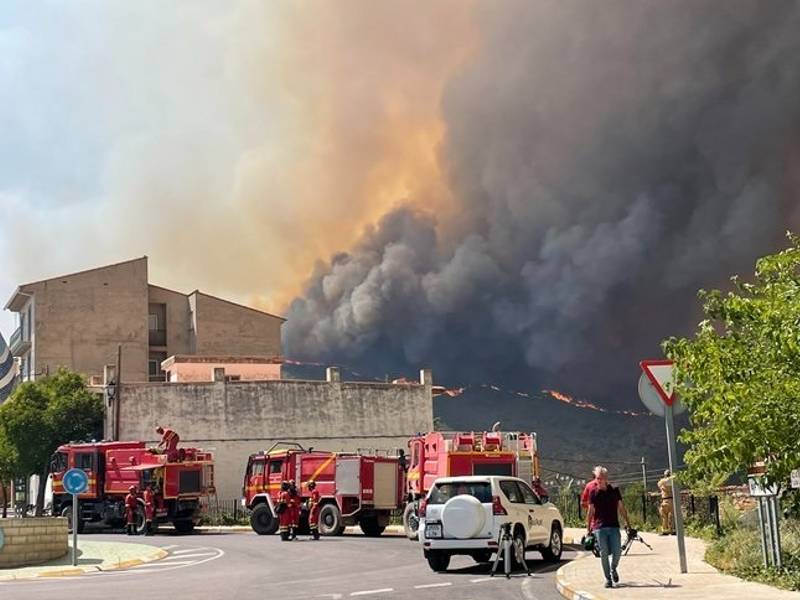 Aprobadas las ayudas directas para mitigar los daños producidos por los incendios forestales de 2022 en la Comunitat