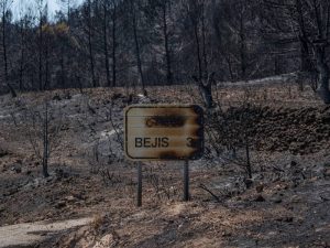 Emergencias pide que nadie vaya a hacerse fotos a las zonas quemadas por los incendios