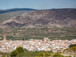 Un mes después de su inicio se da por extinguido el incendio de Bejís