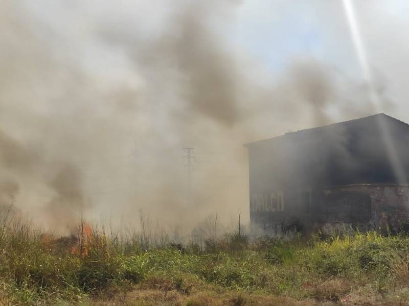 Controlado el incendio de flora de la avenida Hermanos Bou de Castellón