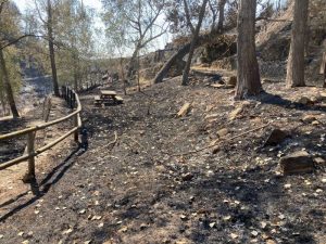 Primeras Ayudas con 2 oficinas comarcales como «ventana única» para municipios afectados por los incendios