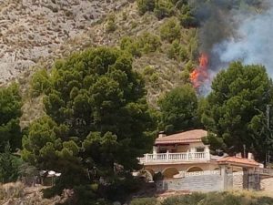 Incendio Forestal en Petrer (Alicante)