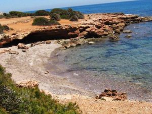 Excursión a La Renegà con ‘‘De ruta con la Dipu»