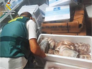 Intervenida 1 tonelada de pescado ilegal en diferentes establecimientos de la costa valenciana