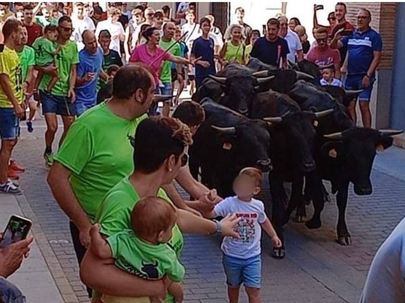 AnimaNaturalis denuncia la participación de menores en la ‘exhibición de trashumancia’ de Nules y en el ‘toro embolado’ de Náquera