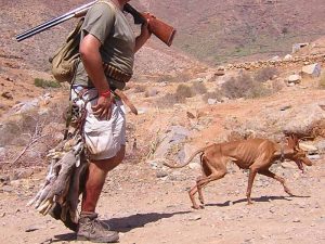 Reivindicación del PP para que la caza se excluya del futuro proyecto de Ley de bienestar animal