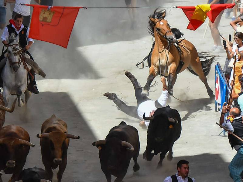 Un toro embiste al caballo y provoca la caída de un caballista en Segorbe