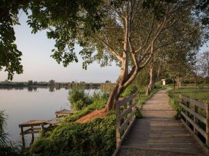 Visitas guiadas gratuitas al ‘Aula de la Natura’ y al ‘Paraje del Estanys’ de Almenara