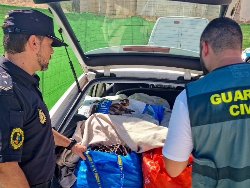 18 personas detenidas y 55 investigadas en el robo de 110 toneladas de algarroba