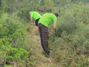 Canet lo Roig capital provincial del ciclismo de montaña con su VII Marxa BTT