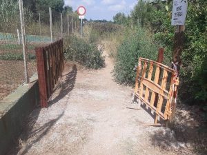 La Ruta Botánica del Paisaje de la Desembocadura del Mijares restringirá el acceso por seguridad según la climatología