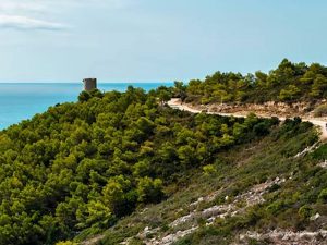 Recorrido gratuito por la Serra d’Irta el día Mundial de la Movilidad Sostenible