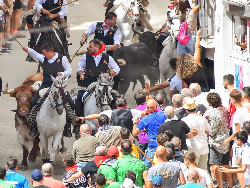 Dos heridos en la entrada de toros y caballos de Segorbe