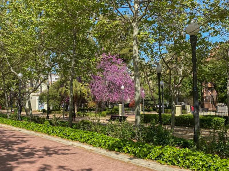 4 Flores de Honor de ‘Viles en Flor’ por el trabajo en infraestructuras verdes en Castellón