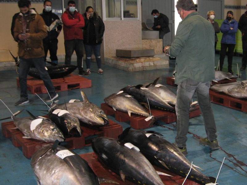 Coincopesca pide al Gobierno el reparto justo de la cuota de atún rojo para los pescadores de la Comunitat Valenciana
