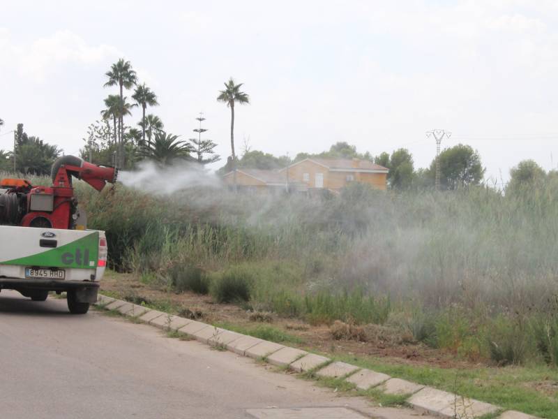 Benicàssim fortalece los tratamientos contra mosquitos frente a las lluvias previstas