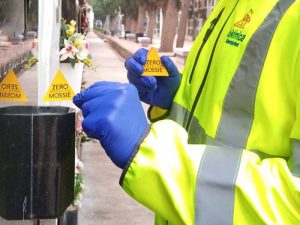 Tratamiento novedoso contra el mosquito tigre en el Cementerio de Burriana