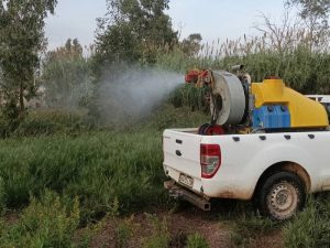 Sigue la lucha contra los mosquitos en la provincia de Castellón con hasta 1.029 jornadas de tratamiento en este 2022