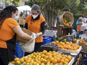 Precios justos con producción de cercanía y de temporada en la Fira de la Taronja 2022 de Castellón