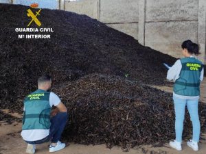 15 investigados por el robo de material de obra y 2 toneladas de algarrobas en el Baix Maestrat