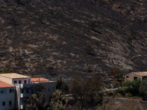 Generalitat tramita 1.130 expedientes en ayudas por los incendios de Les Useres, Bejís y Vall d’Ebo