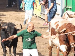 3 heridos por asta de toro en el segundo encierro de ‘La Fira d’Onda’