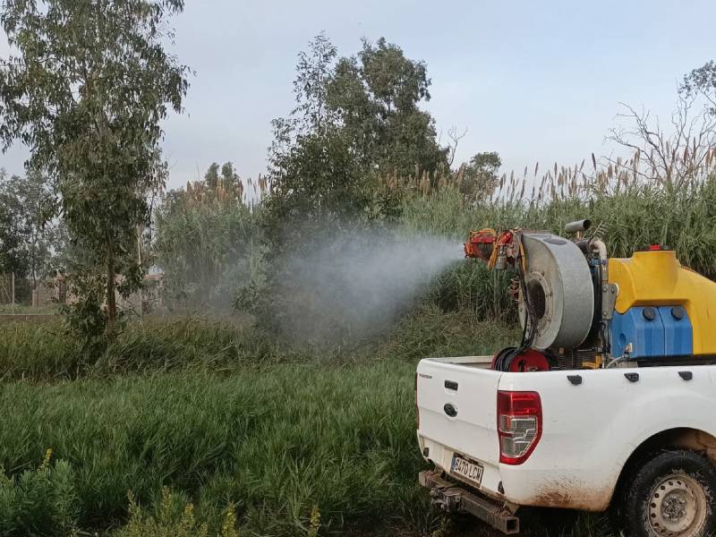 Activo el plan provincial contra los mosquitos pese a la bajada de temperaturas