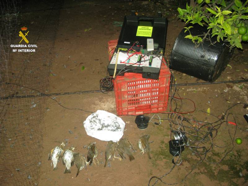 15 personas investigadas en Castellón por cazar aves con red japonesa i ‘parany’
