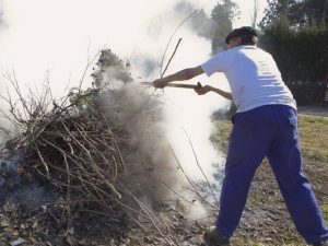 El Botànic pacta con el PP y saca adelante la Ley de Economía Circular sobre las quemas agrícolas