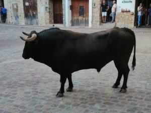 Justicia gestiona 15 procedimientos sancionadores por infracciones en los ‘bous al carrer’