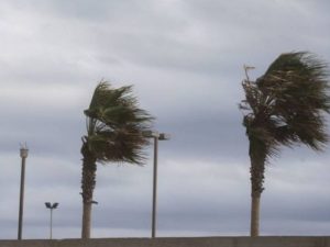 Aviso por rachas de viento de hasta 80 km/hora en Castellón